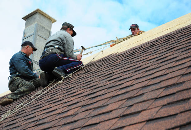 Roof Repair Estimates in Hitchcock, TX